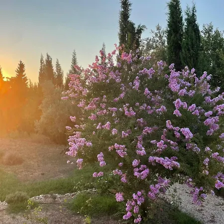 Isabelle Vendégház 4*