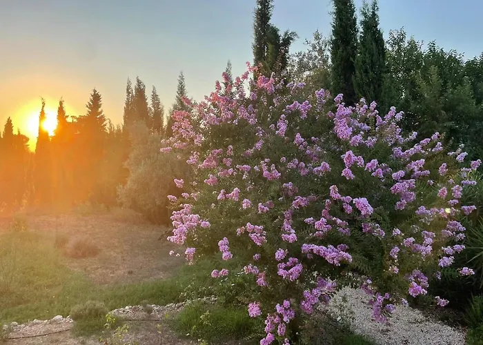 Isabelle Maison d'hôtes 4*